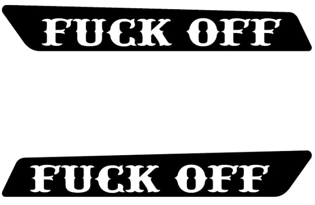 2014 & UP HARLEY DAVIDSON SADDLE BAG LID INSERTS - Image 3