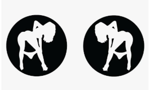 HARLEY DAVIDSON BRAKE CALIPER INSERTS - Image 5